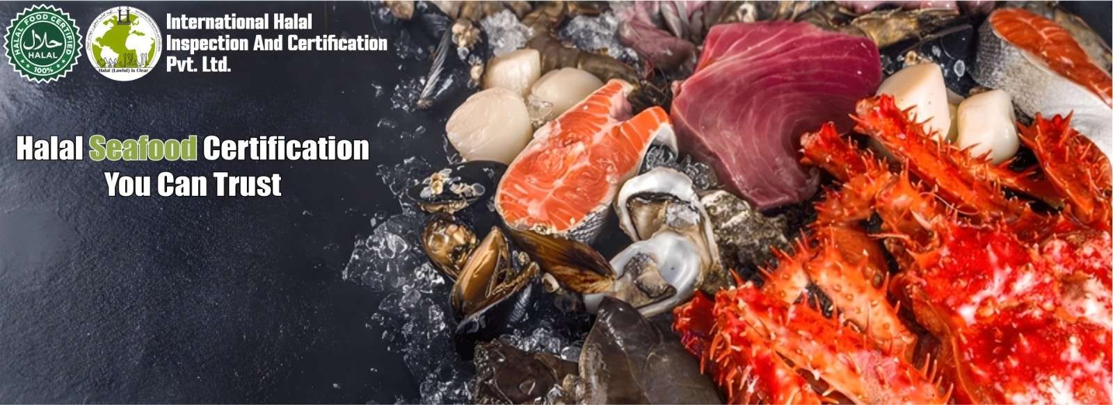 WhatsApp Image 2025-10-19 at 10.13.52 PM (3)