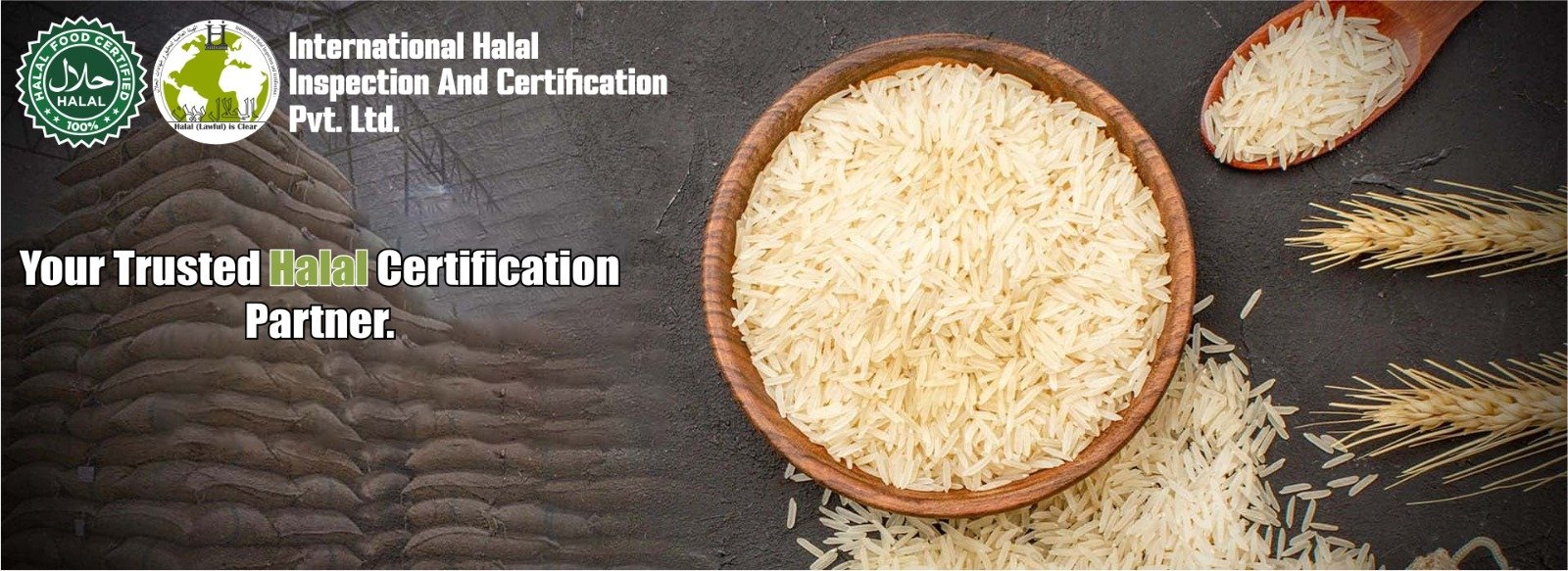 WhatsApp Image 2025-10-19 at 10.13.52 PM